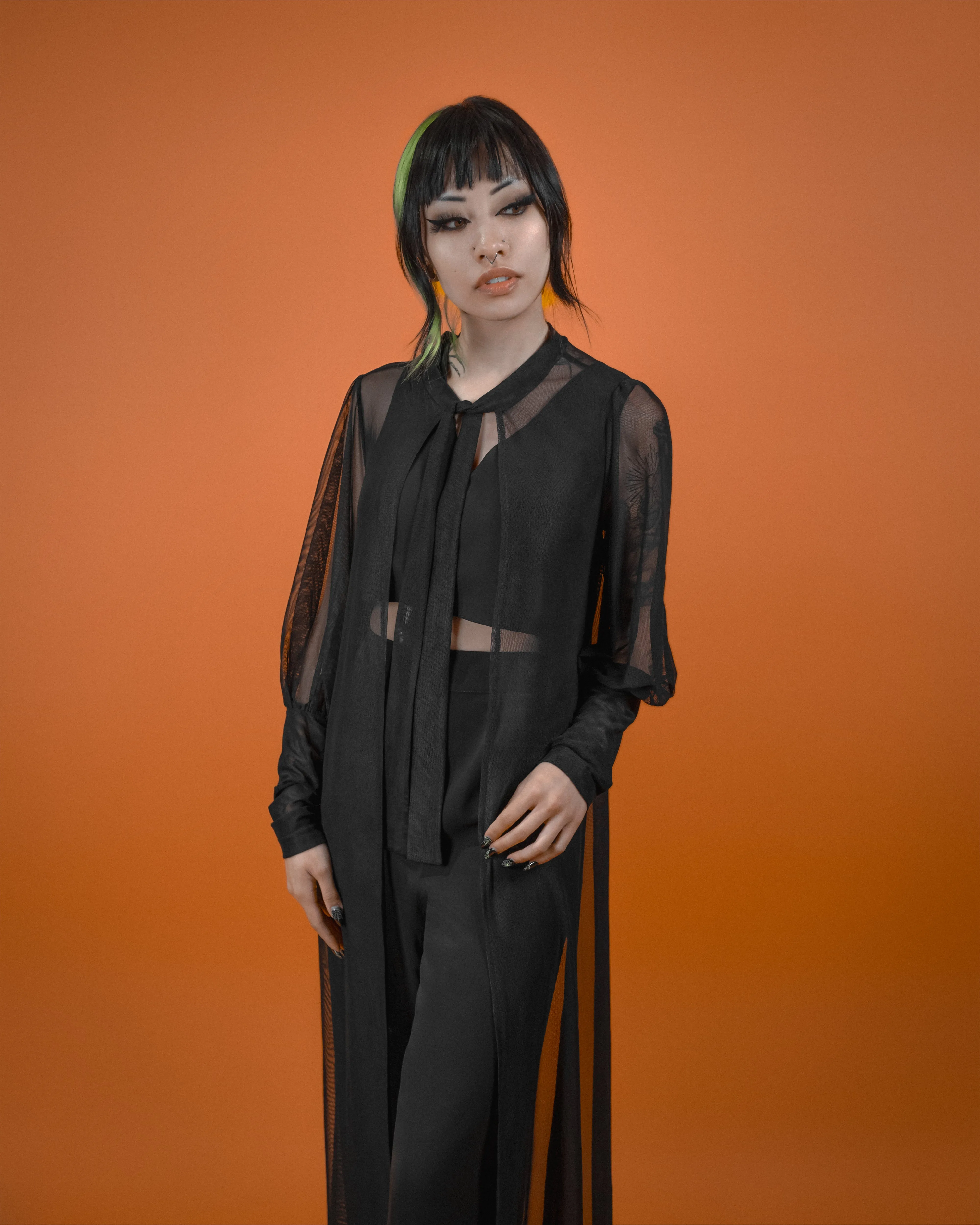 Beyond the Veil Duster