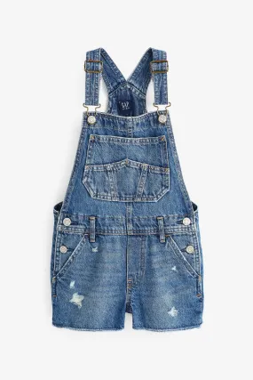 Blue Denim Dungarees