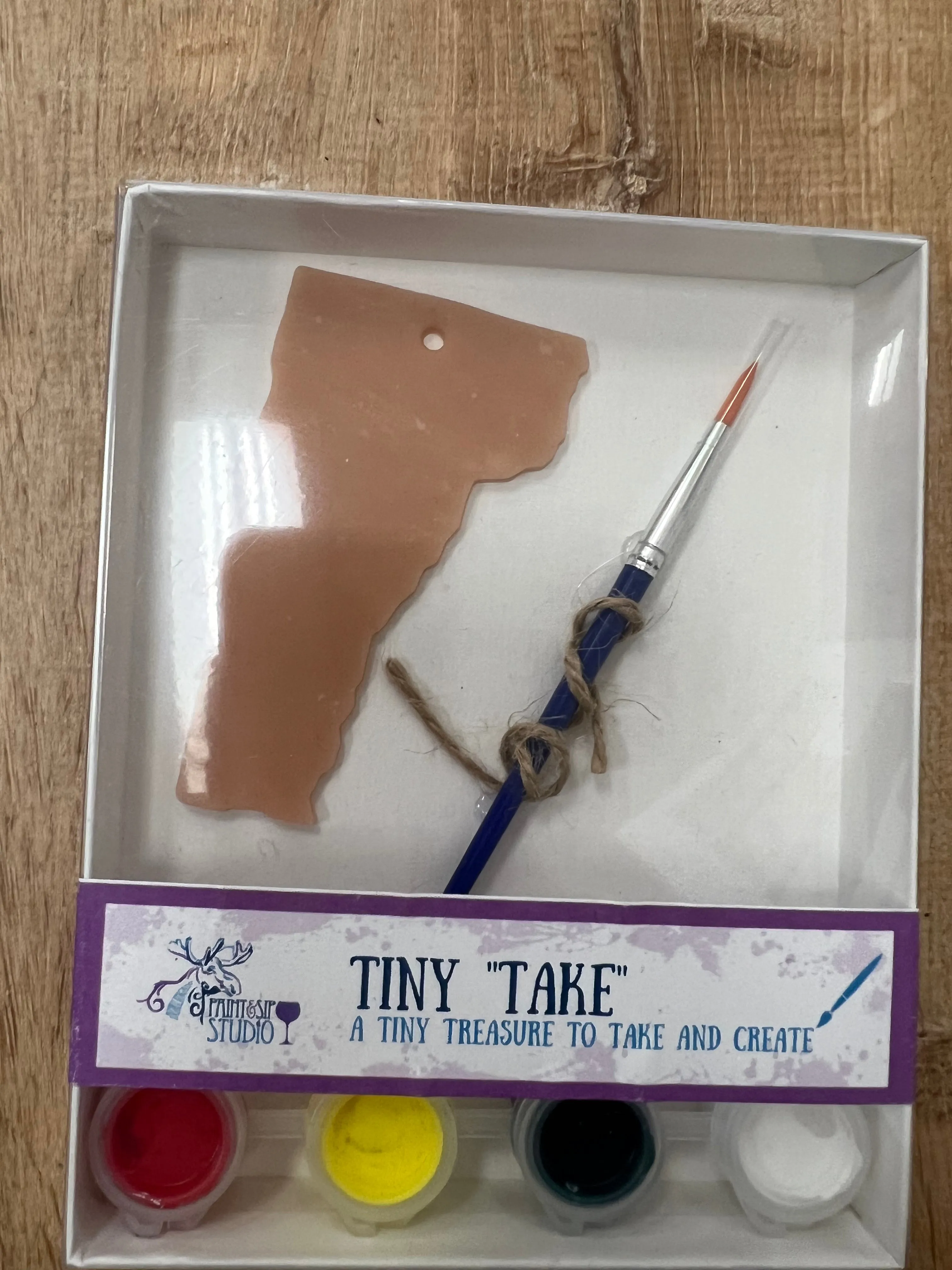 Tiny Take Paint Sets