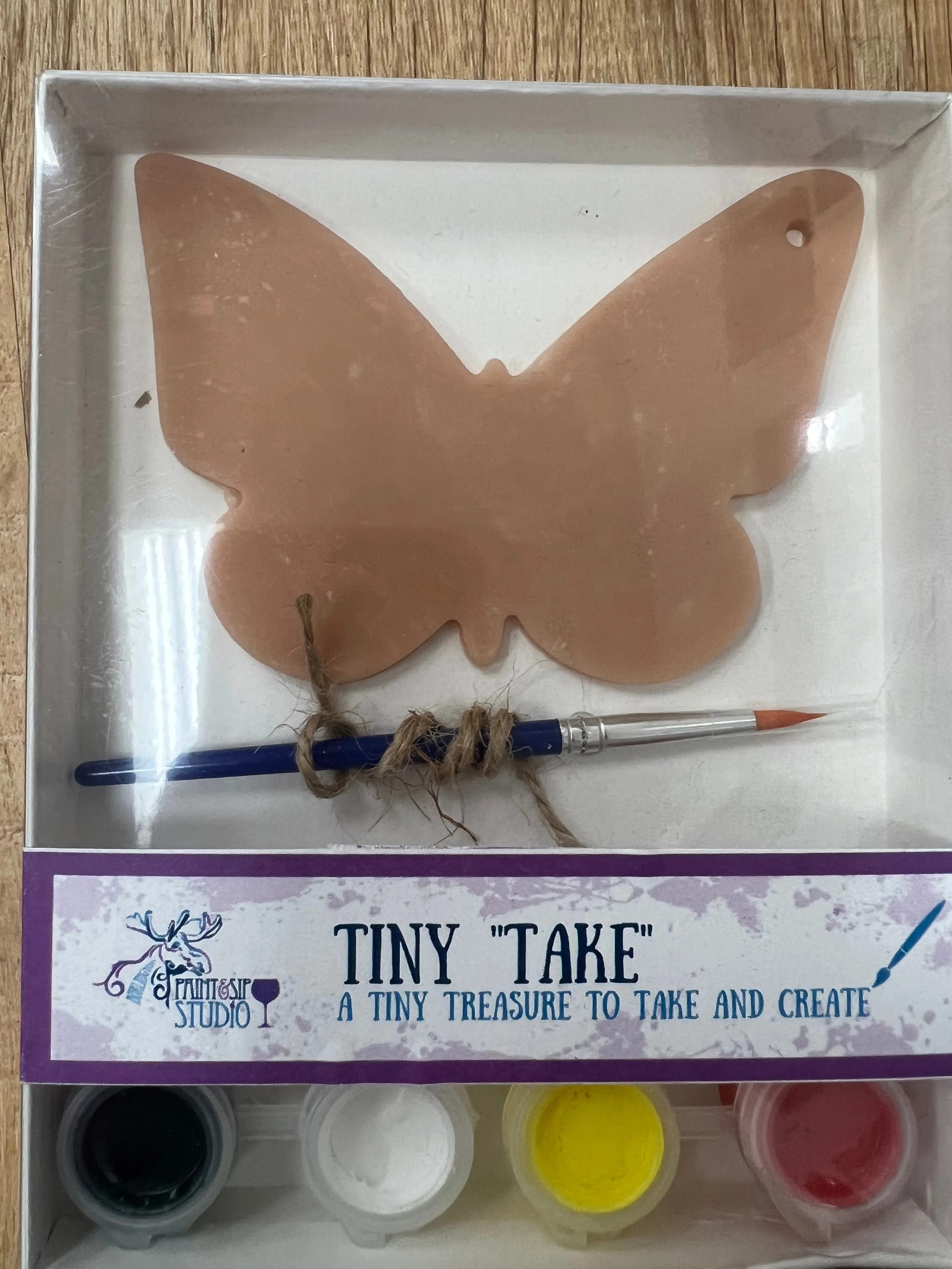 Tiny Take Paint Sets