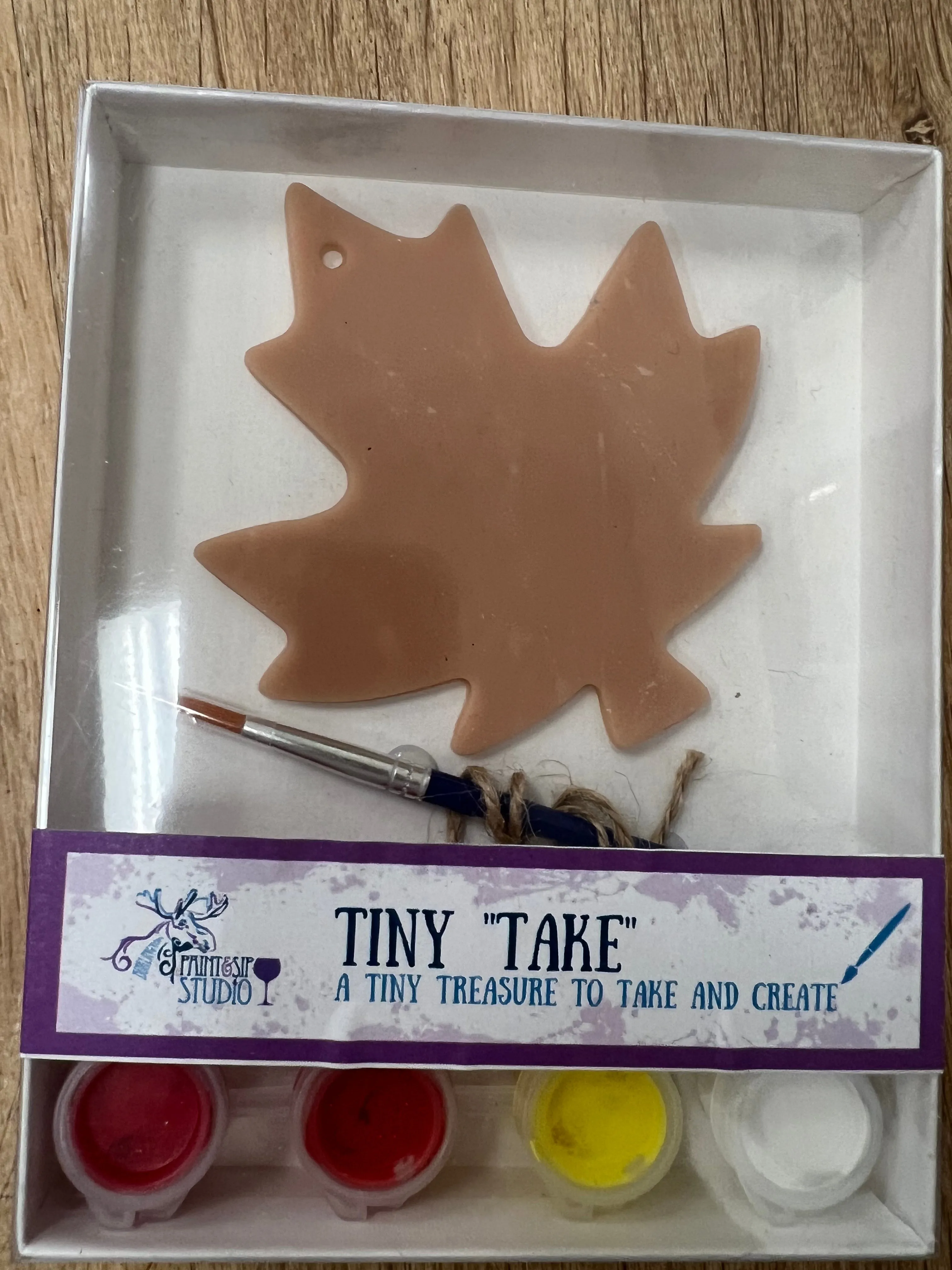 Tiny Take Paint Sets