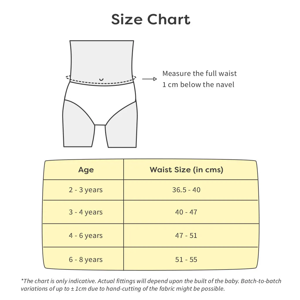 Unisex Toddler Briefs -6 Pack ( Finding Dino - Sea-saw)