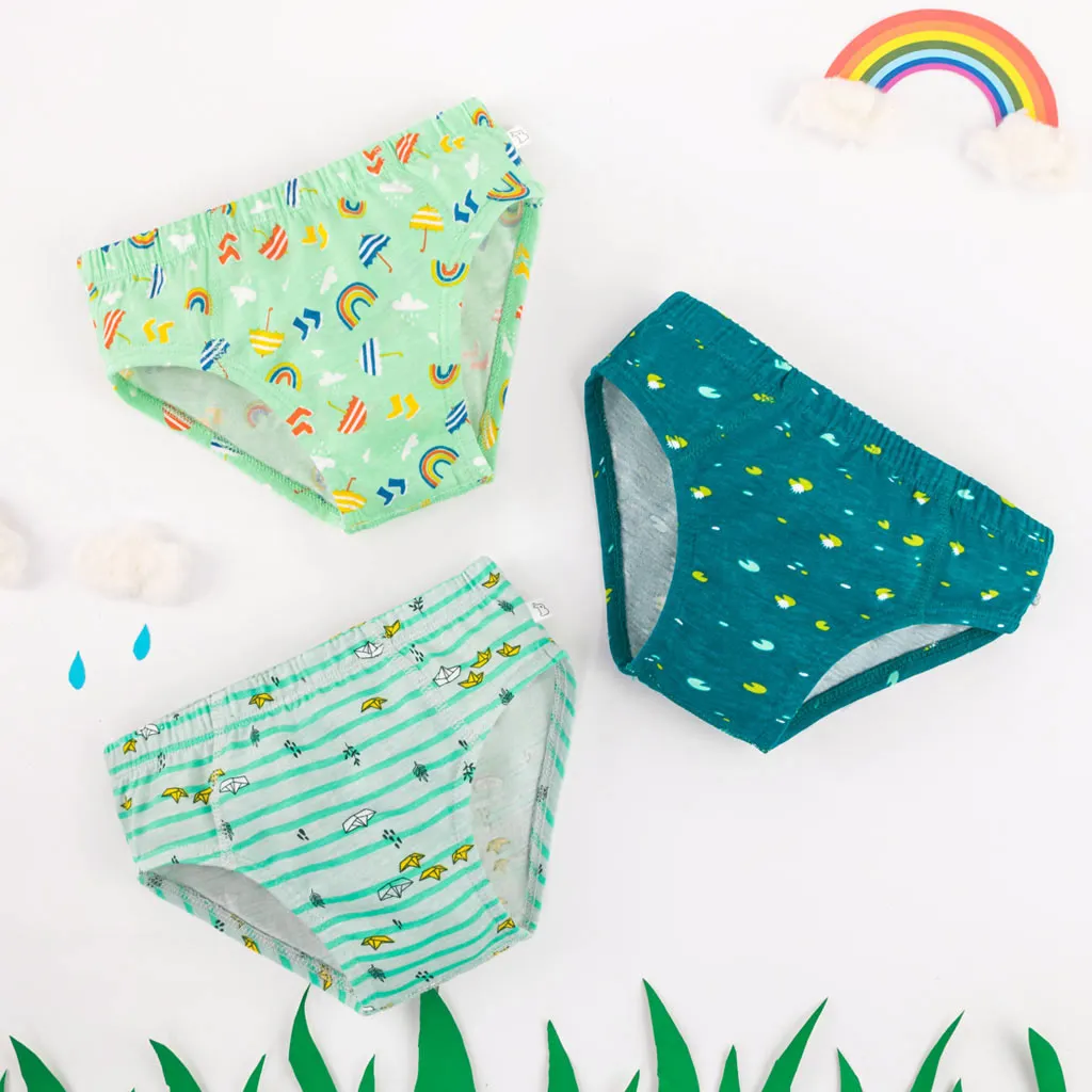 Young Boy Briefs -3 Pack (Rainy Poppins)