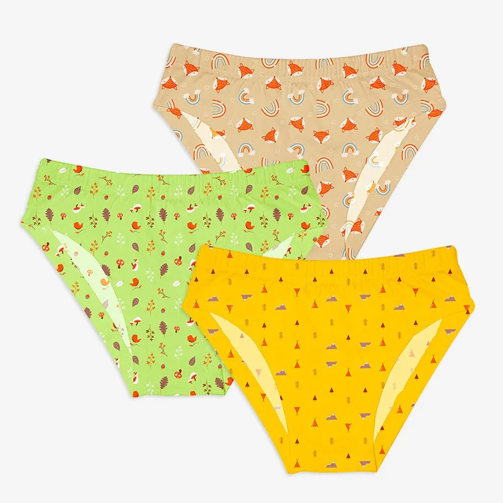 Young Boy Briefs -9 Pack (Kid's Day Out - Woody Goody - Rainy Poppins)